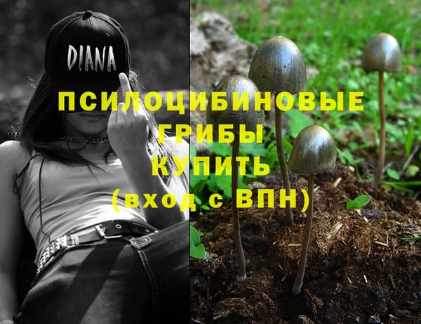 молекула духа Аркадак