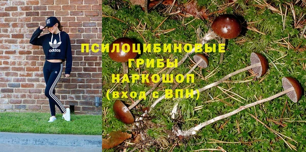 СК Арсеньев