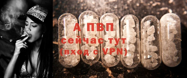 СК Арсеньев