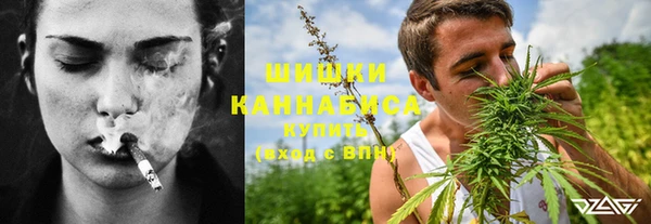 молекула духа Аркадак